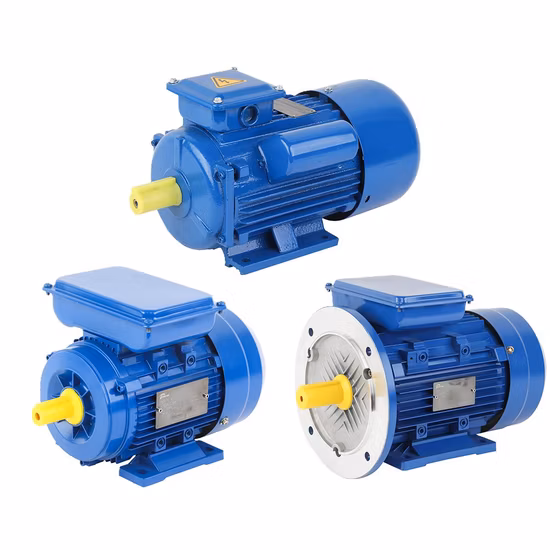 1HP, 2HP, 3HP, 4HP, 5.5HP, 7.5HP, 10HP, 15HP, 20HP, 25HP, 30HP, 40HP, 50HP, 60HP, 75HP, 100HP Moteur électrique asynchrone à courant alternatif à induction triphasé