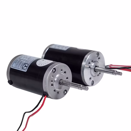 Moteur CC haute vitesse 12 V/24 V/moteur brossé CC/moteur BLDC pour sèche-cheveux/masseur/système de levage de porte automatique/ventilateur de réfrigérateur/ventilateur d'extraction/moteur de ventilateur/pompe CC